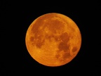 Dscn0203fr (9136 visits) Lune cuivrée Dscn0203fr