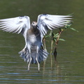 shoot363188fr