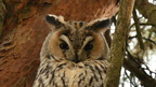 shoot374305fr 00001
