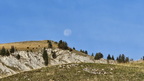 shoot 4031057nt (2 visits) Pleine lune des moissons shoot 4031057nt