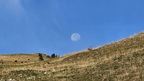 shoot 4031056nt (2 visits) Pleine lune des moissons shoot 4031056nt
